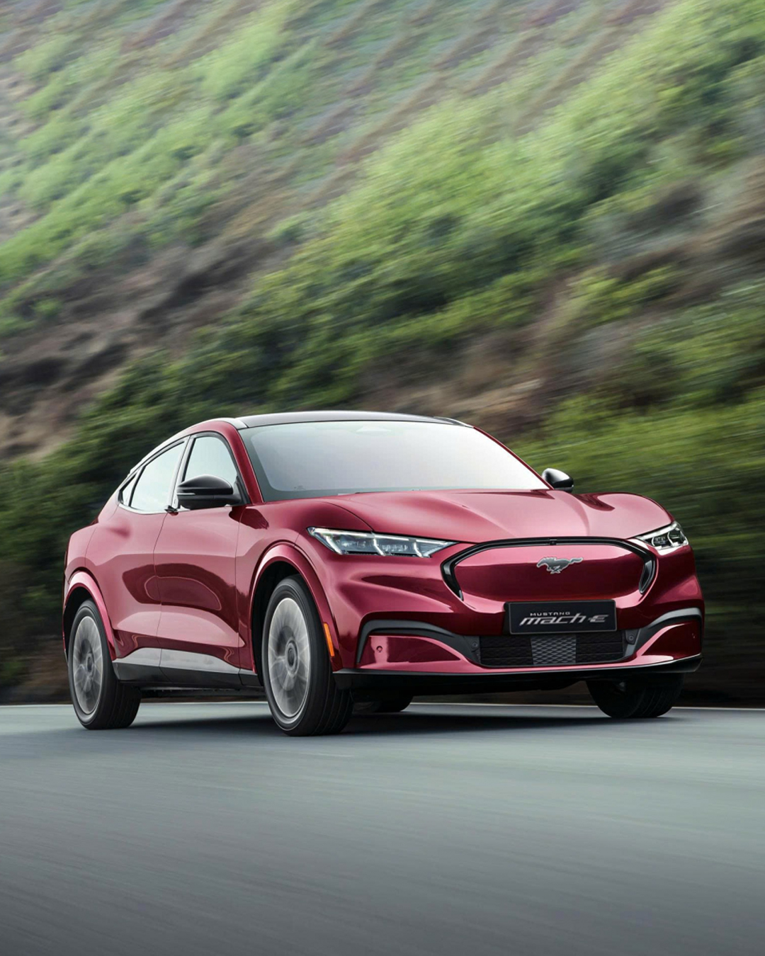 ford-mustang-dianford